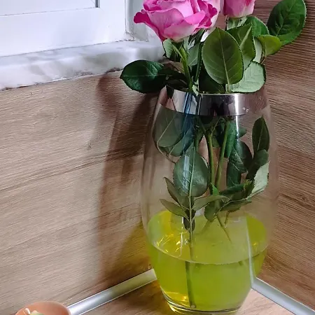 Studio Volos Apartment Volos